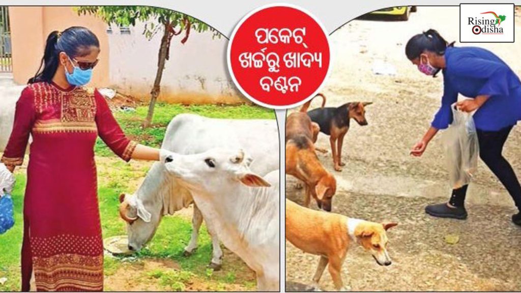 debika debasmita, bhubaneswar, dumduma area, school student, feeding stray animals, distrbuting foods, social work, rising odisha