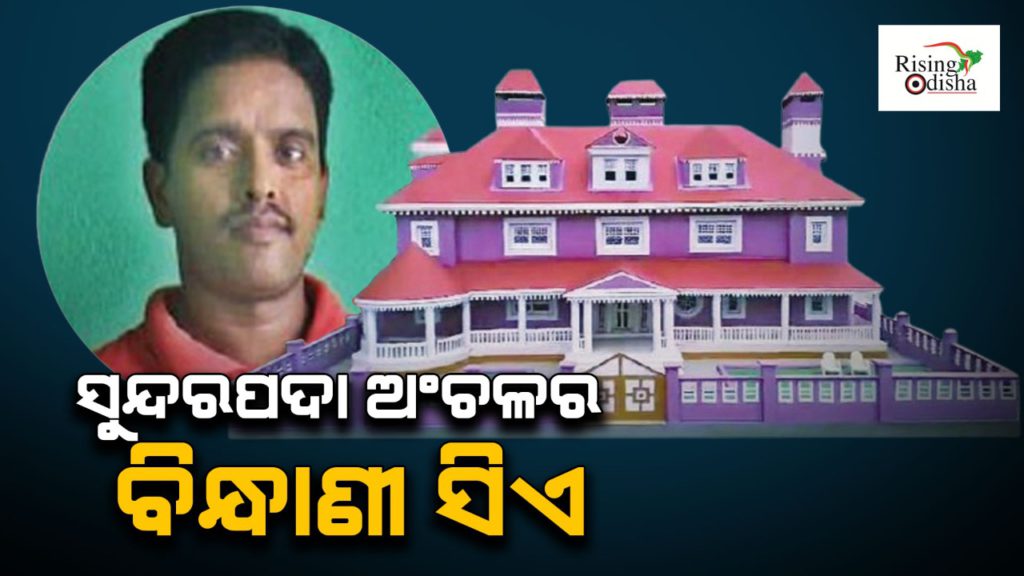 krushna kumar basant, artist, sundarpada area, Odisha, useless papers, creative designs using paper, reuse papers, recycle papers, medicine shop, rising odisha