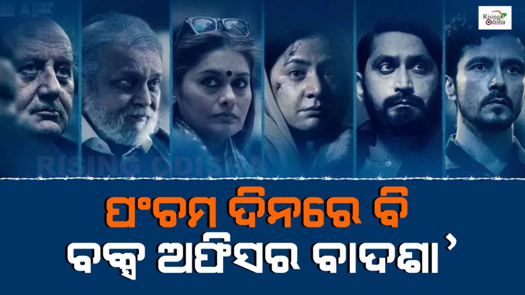 the kashmir files, the kashmir files movie, box office collection, box office, kashmir files, rising odisha, odia blog