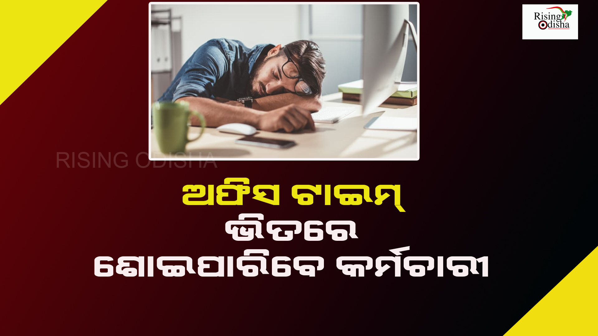 office, sleeping, startup, Wakefit, odia blog, d2c, company, rising odisha