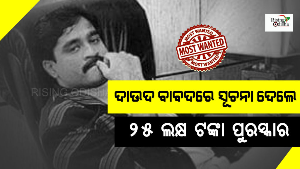 dawood ibrahim latest news, dawood ibrahim story, dawood ibrahim news, dawood ibrahim gangster, odia blog, rising odisha