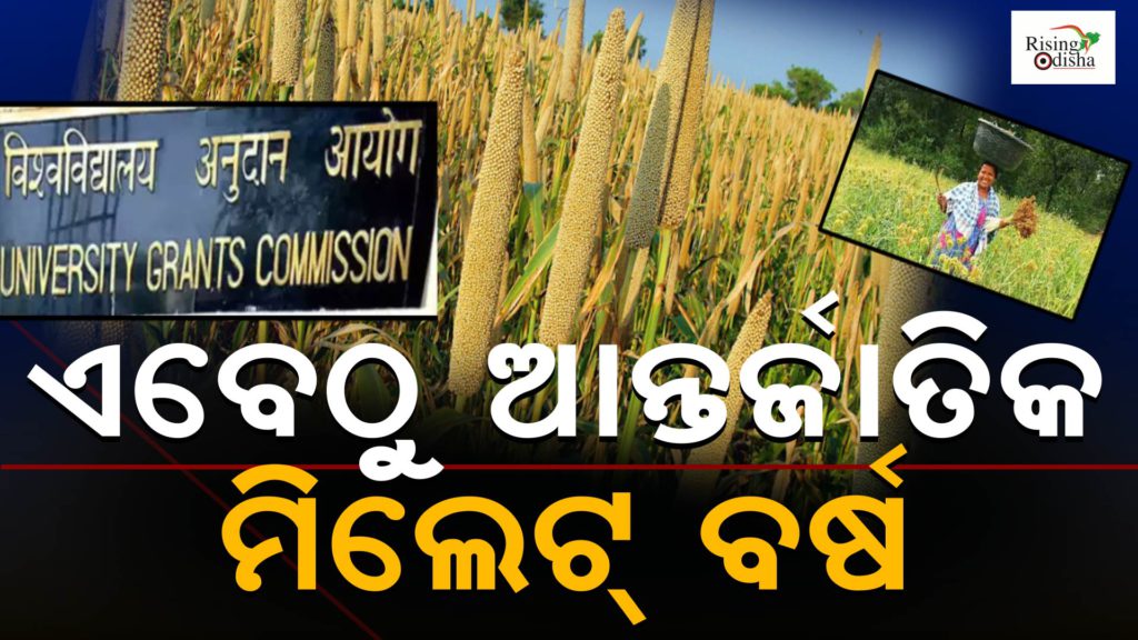 international year of millets 2023, ugc, united grants commission, millets, grainbenefits, odish govt, odia blog, rising odisha