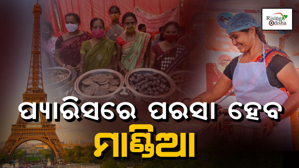 odisha millet mission, odisha millet mission report, odisha millet mission odia, Odiablog, #Risingodisha