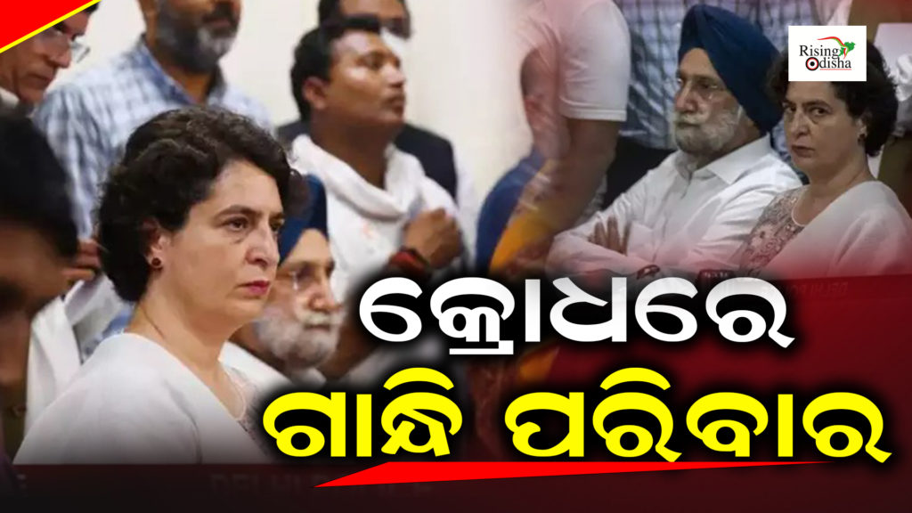 gandhi family status, congress news today, priyanka gandhi latest news, Odianews, RisingOdisha