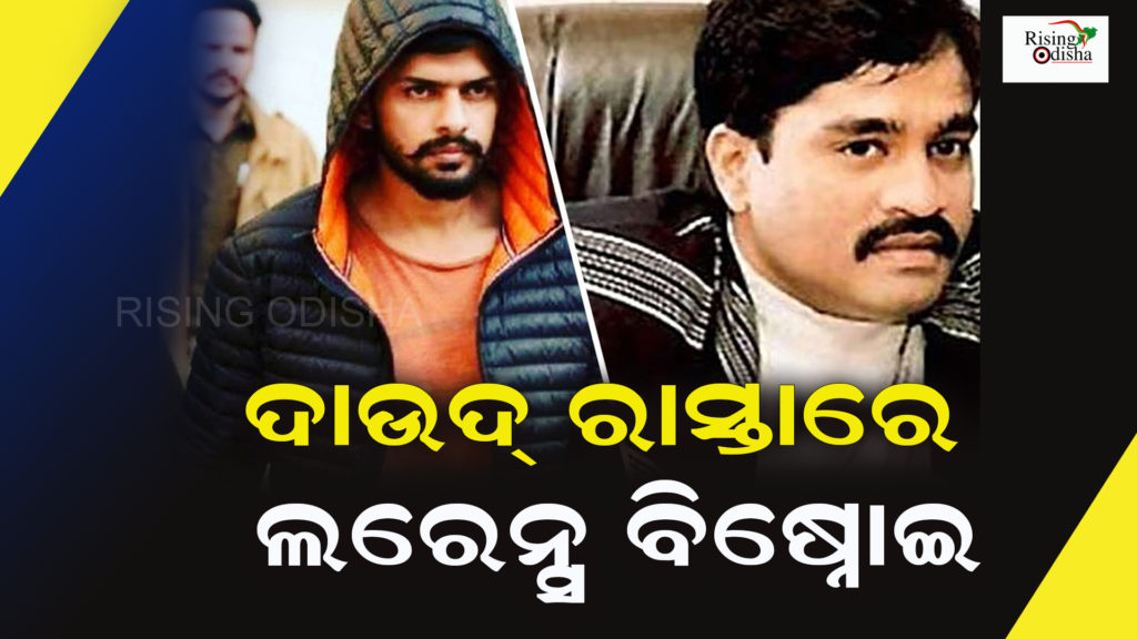 dawood ibrahim vs lawrence bishnoi, lawrence bishnoi latest news, lawrence bishnoi gangster, odia blog, rising odisha