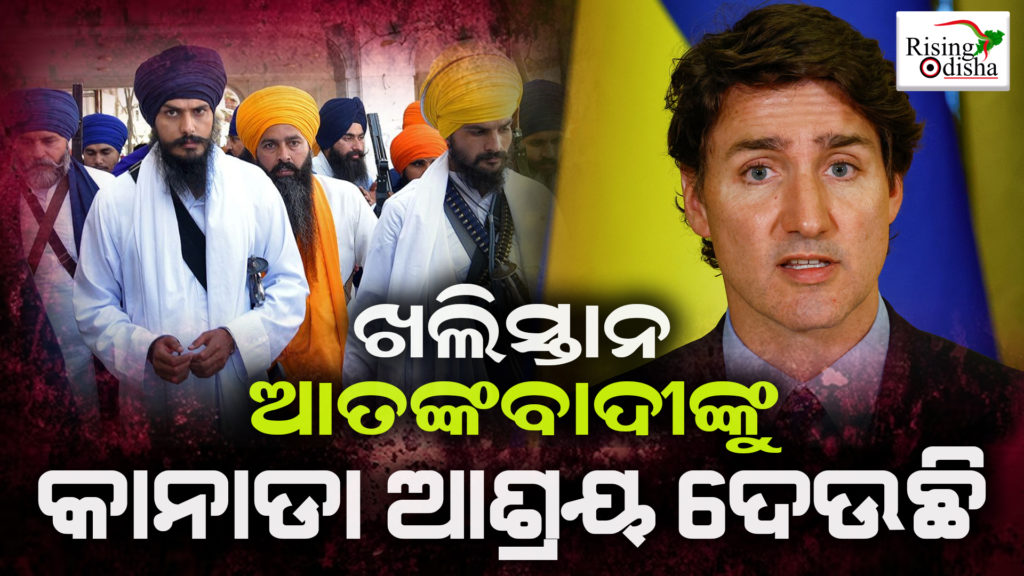 india canada issue, india canada issue update, canada india issue, odia blog, rising odisha